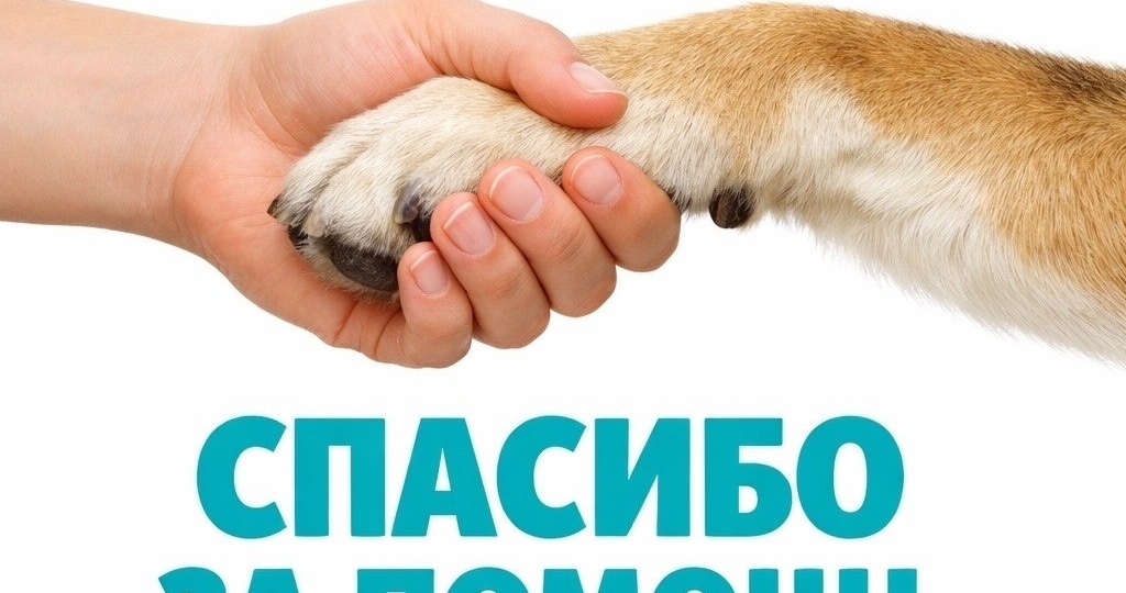 ПОСТ БЛАГОДАРНОСТИ.🤝