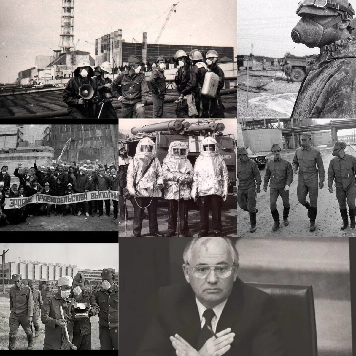Коллаж автора из фото в свободном доступе 
