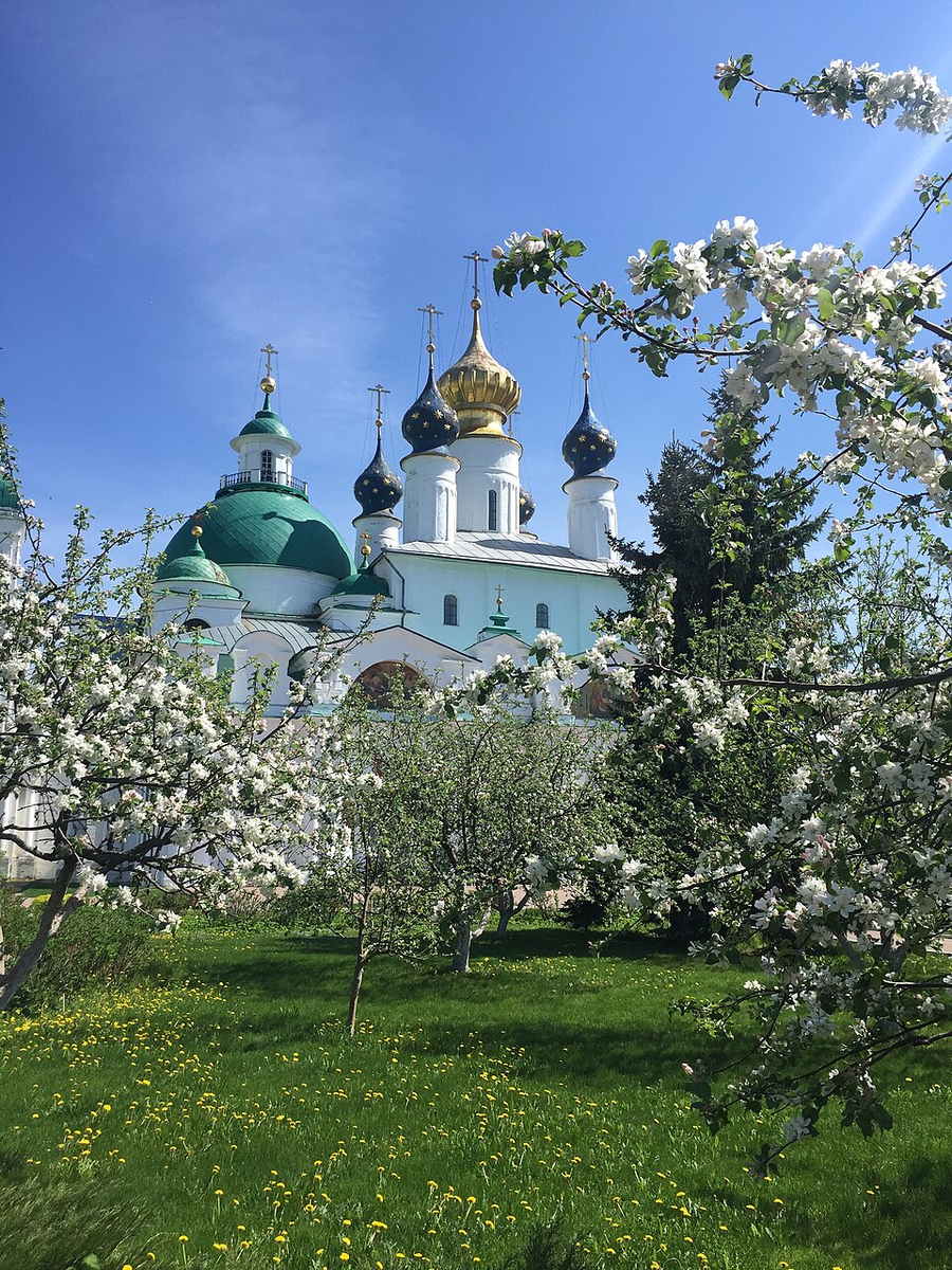 Источник: wikipedia.org Автор:Anna.Abramovich, CC BY-SA 4.0