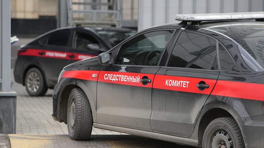    Фото: ИЗВЕСТИЯ/Дмитрий Коротаев