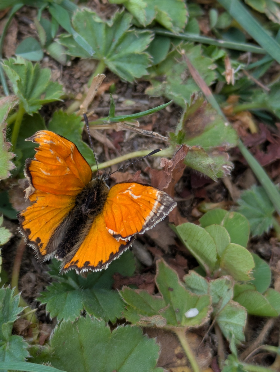 -2-2