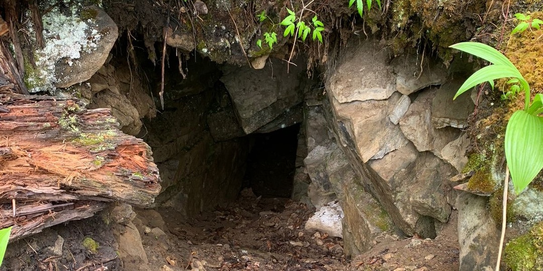 Охранную зону памятника природы «Ботовская пещера» установили в Приангарье