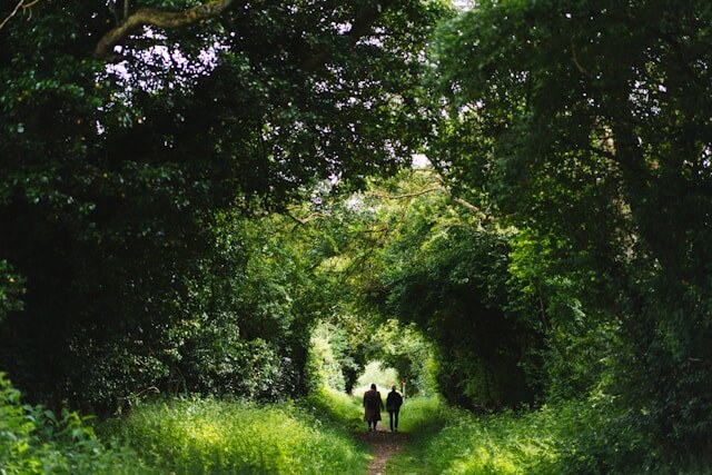     Ученые подтвердили: природа снижает негативные эмоции