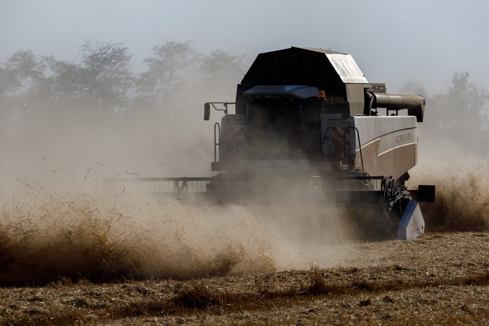    Фото: СвоёТВ/Сергей Пархисенко Светлана Уварова
