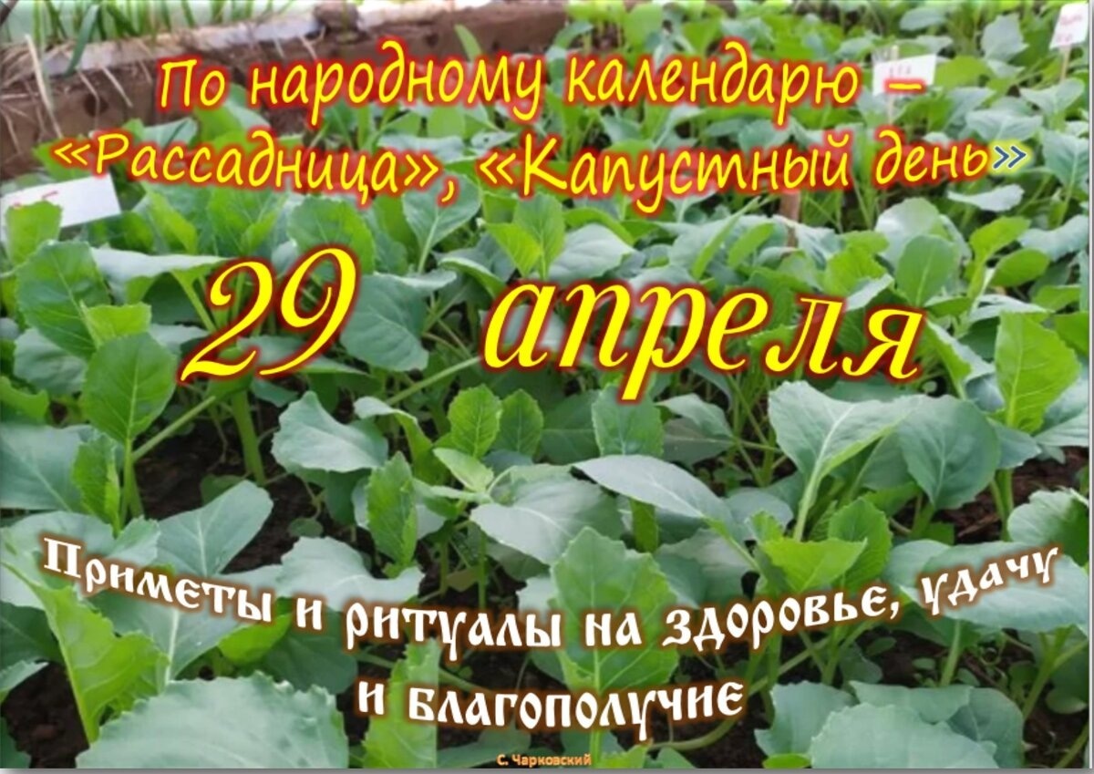 Встречаем новый день