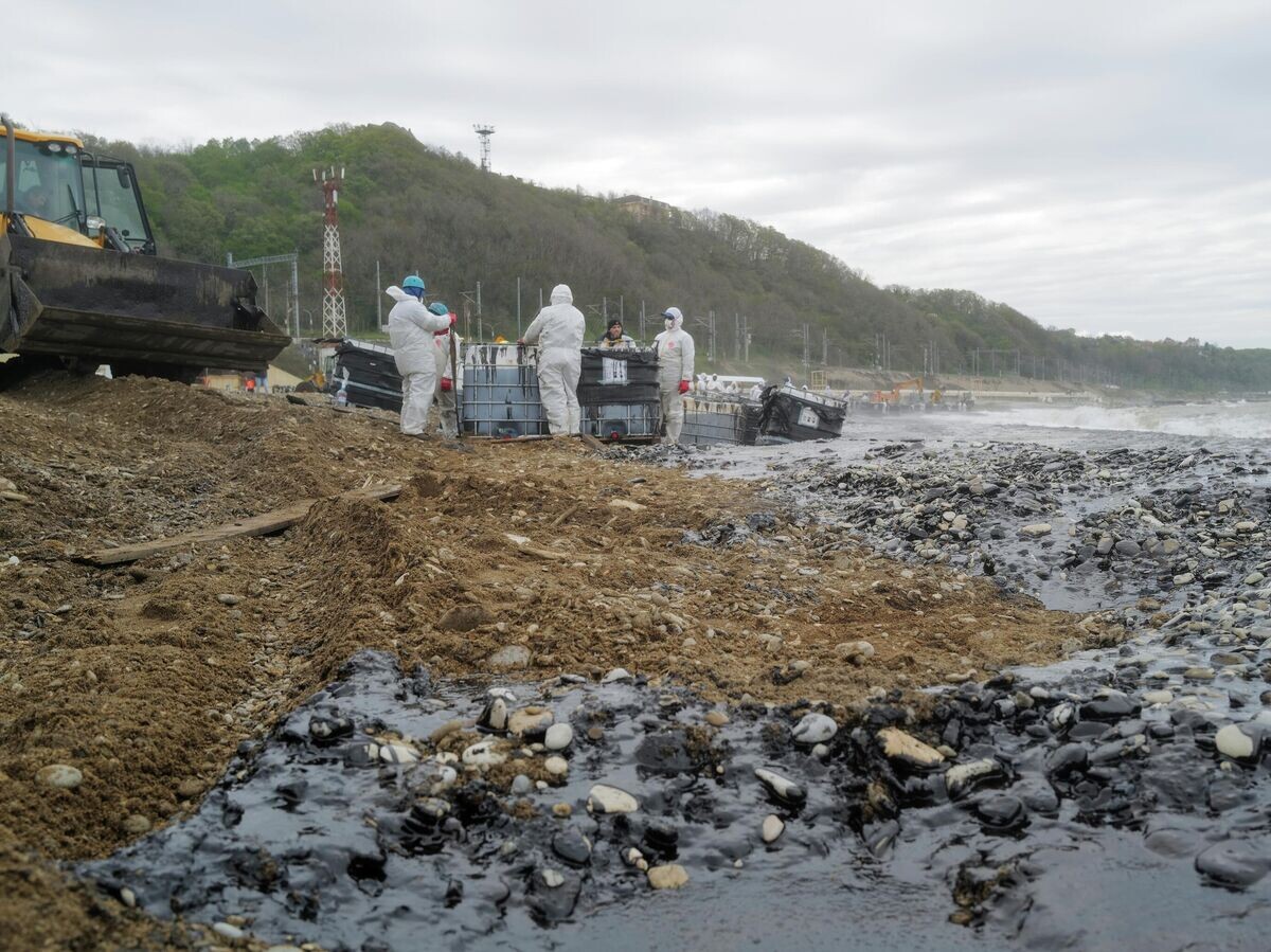    Очистка от нефтепродуктов побережья и реки в Туапсе | © РИА Новости / Борис Морозов