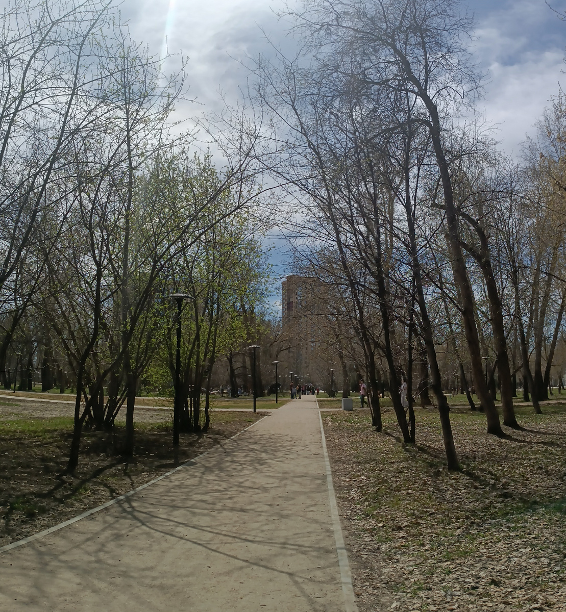 Где-то на просторах моего города. С теплом начала появляться зелень, стало чуточку уютнее в городе. Фотография автора, апрель 2026 года. 