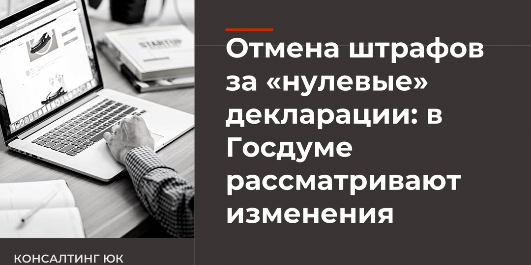 Отмена штрафов за «нулевые» декларации: в Госдуме рассматривают изменения