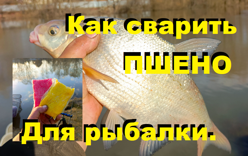 Как сварить пшено для рыбалки ? Делюсь спортивными "секретами"