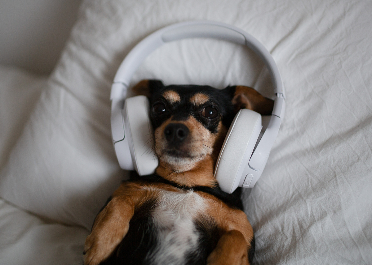 Фото: Shutterstock