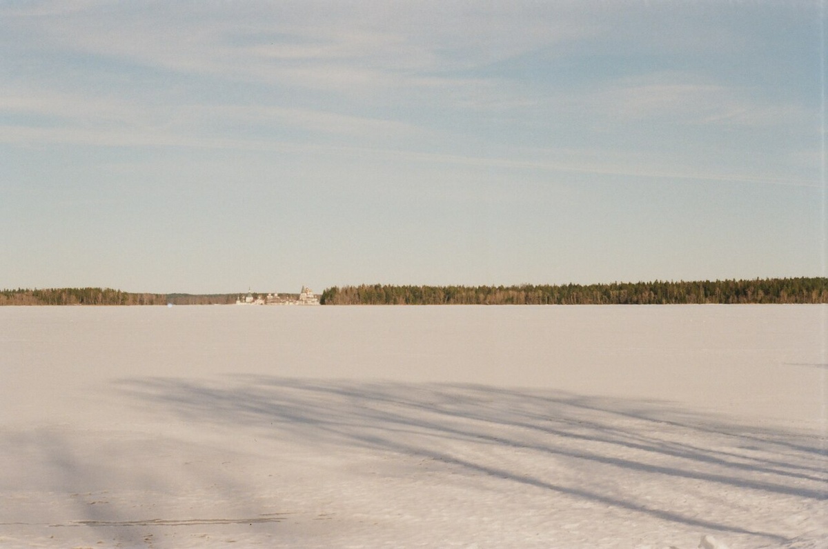 Фото: Artyom Svetlov, CC BY 4.0, via Wikimedia Commons