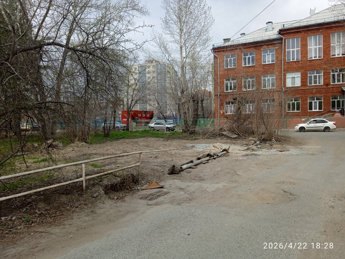 справо Гимназия 75, слево мусор и спиленные ветки.