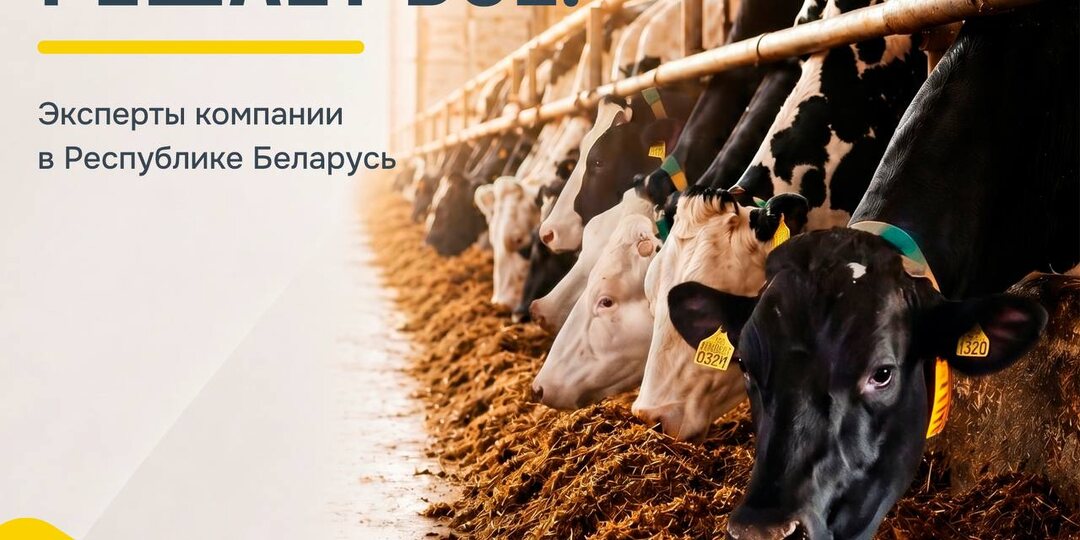 💡Рацион решает всё