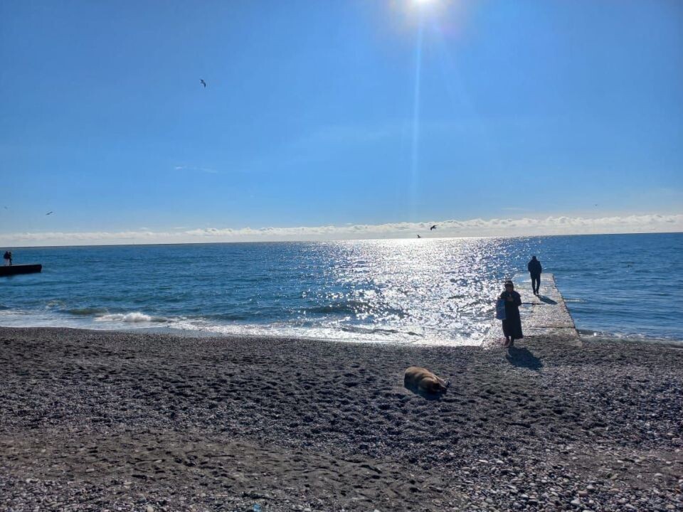    Черное море. Источник: Олеся Веселкова/"Толк"