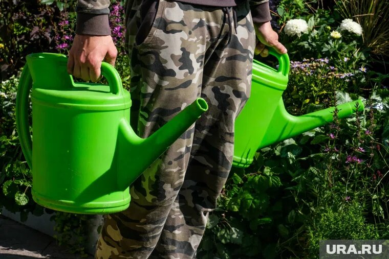 Перед посевом грядки нужно полить
Фото: Георгий Бергал © URA.RU