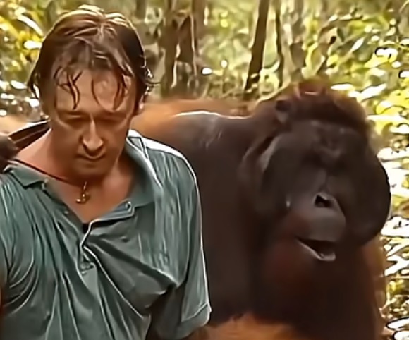 Об обманчивости мира