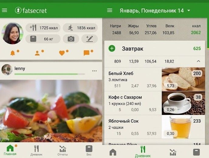 Интерфейс приложения FatSecret