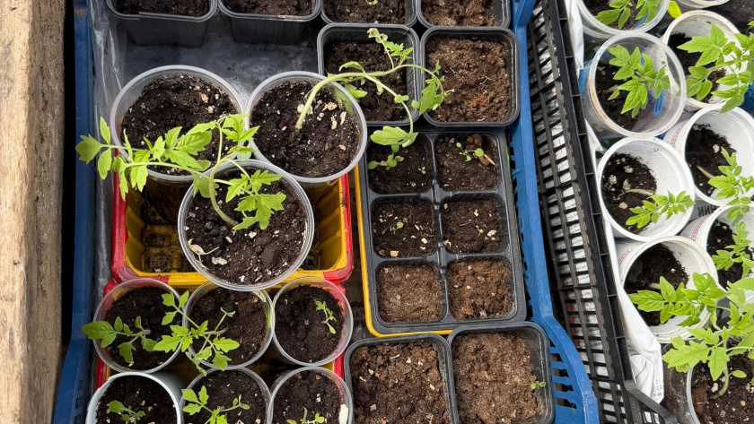    фото women365.ru