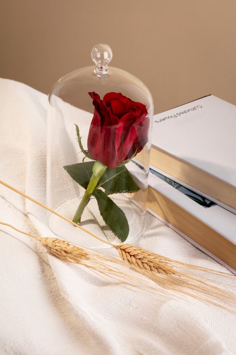 https://ru.freepik.com/free-photo/still-life-sant-jordi-day-books-roses_135751751.htm