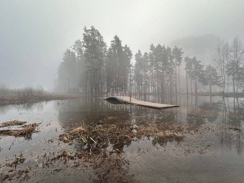 Потрясающая фотография дикой природы