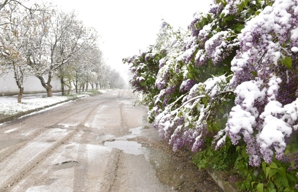 Фото: РИА Новости/Александр Полегенько
