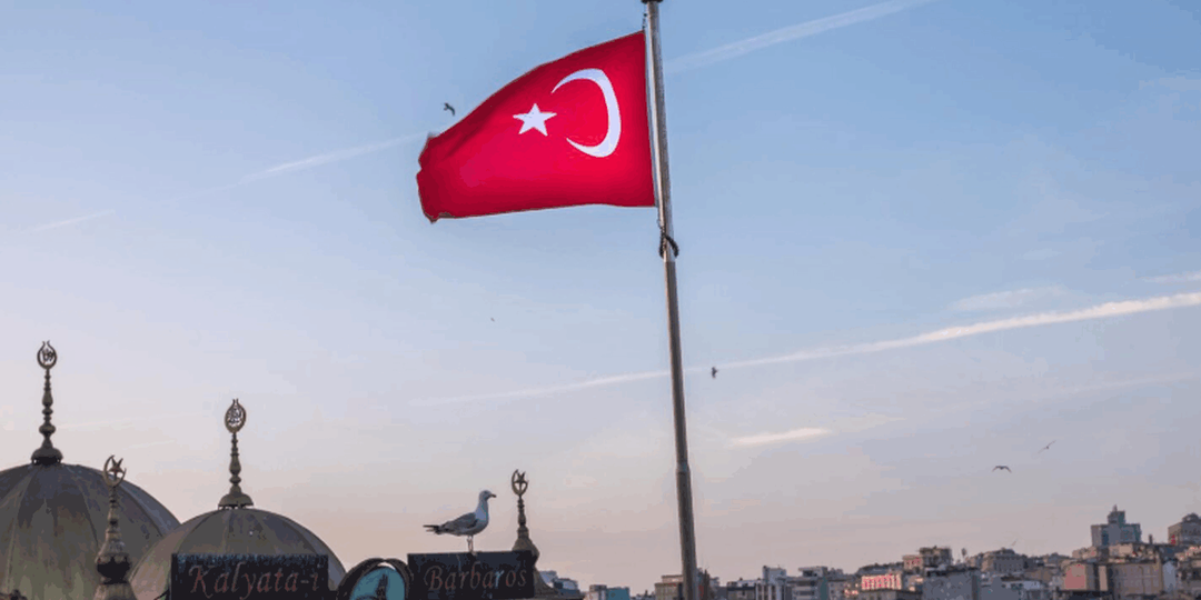 В Турции обнаружены 12000-летние человеческие статуи и рисунки животных