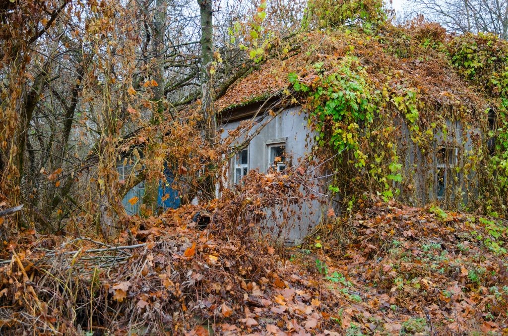 Фото: © Ольга Коцюба / Фотобанк Лори