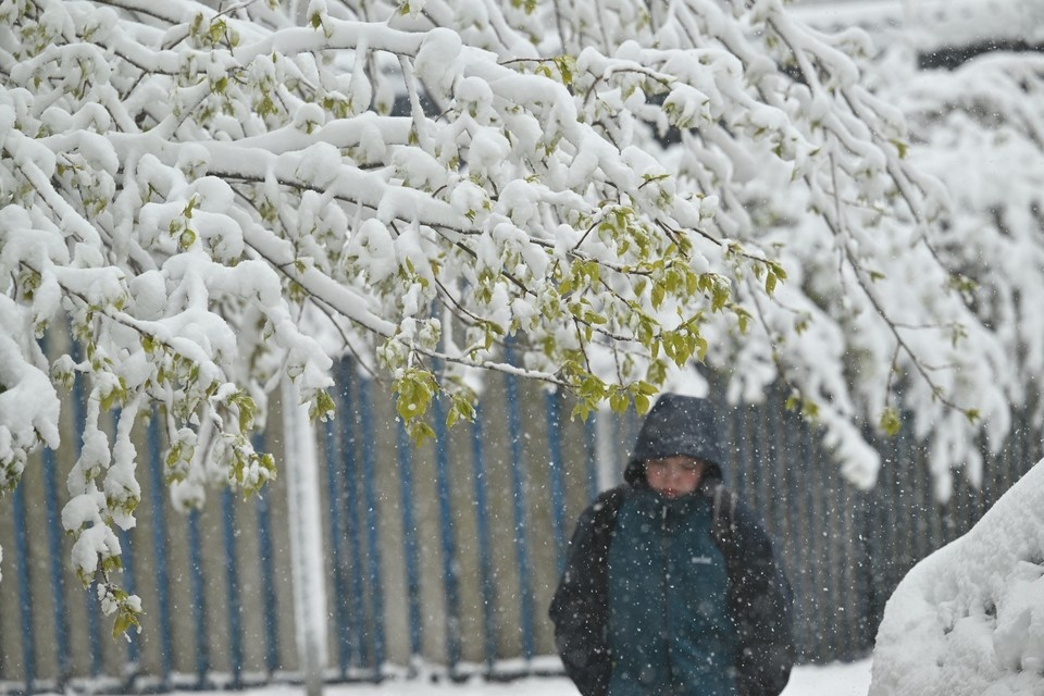    До конца недели в столице будут идти осадки, а температура останется низкой. Евгения ГУСЕВА