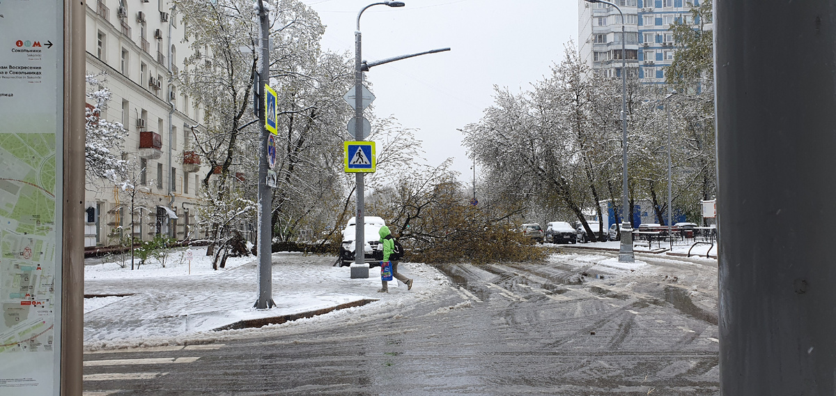 В районе метро Сокольники (Москва, 27 апреля 2026 года)