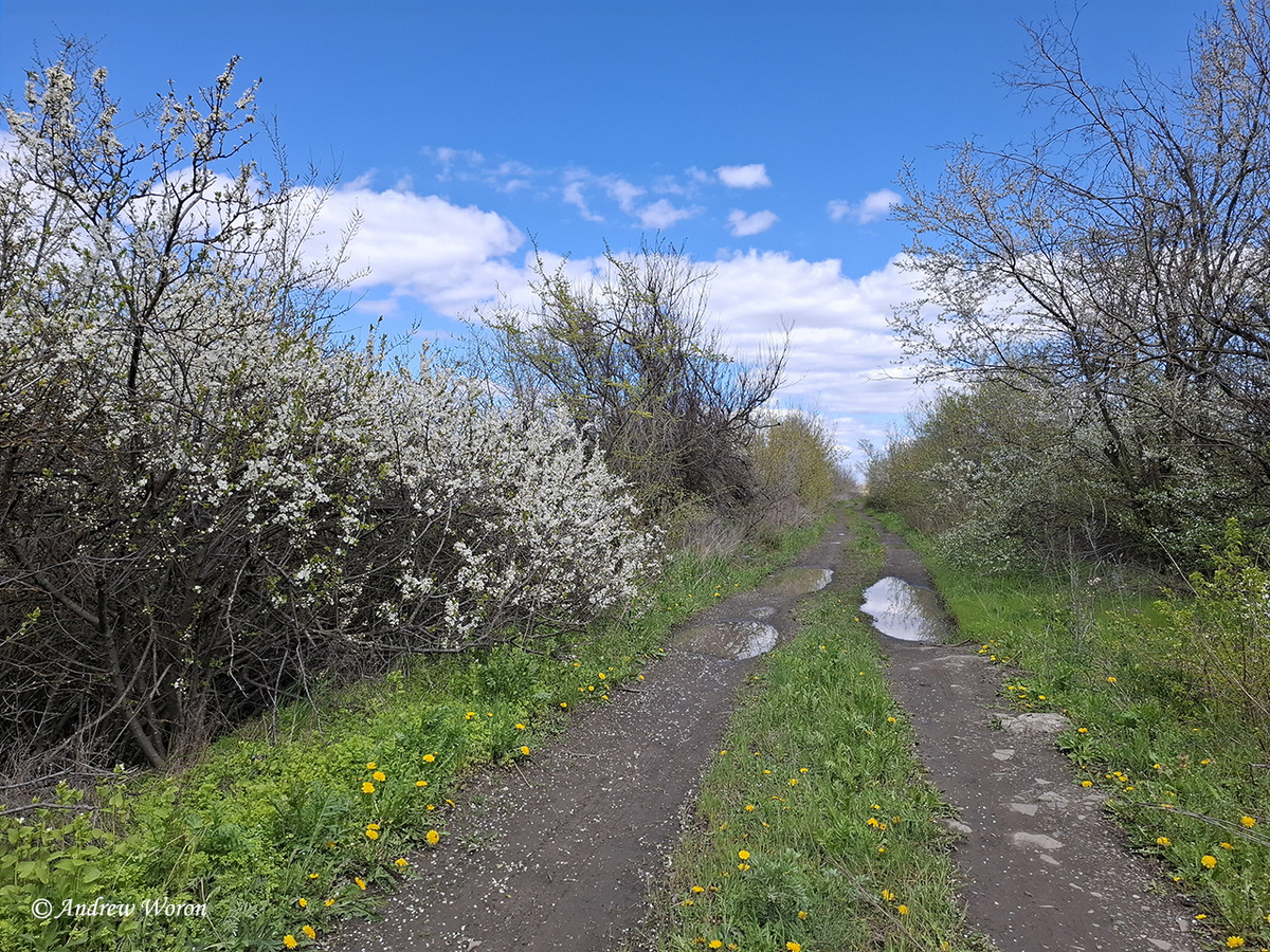 Сельская улочка