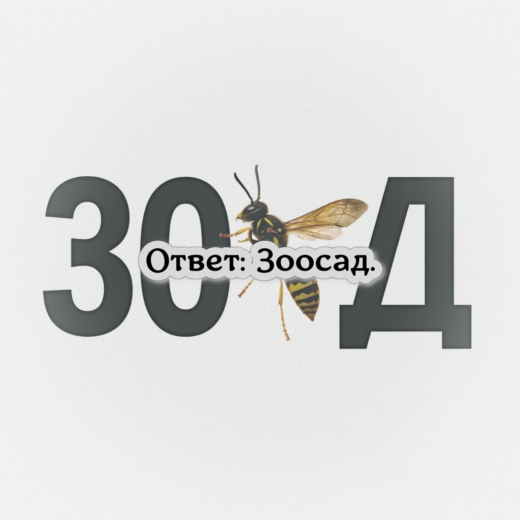 зо оса Д