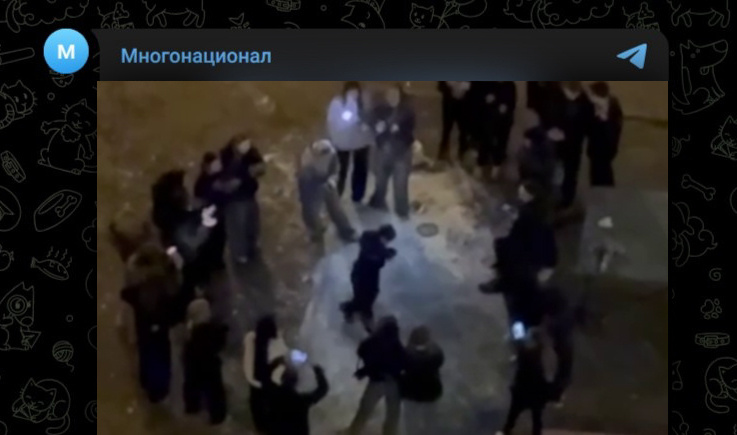 Фото: Telegram-канал "Многонационал"