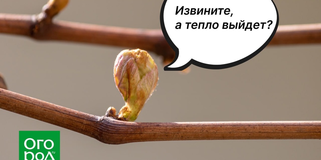 Мы только спросить