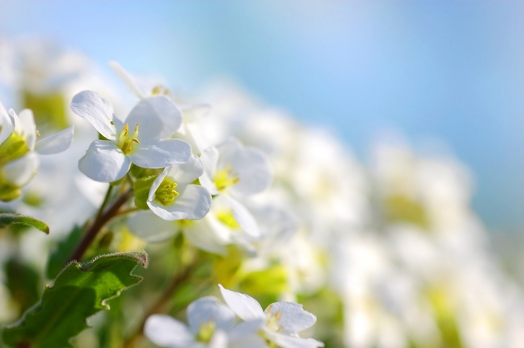 Источник: https://ru.freepik.com/