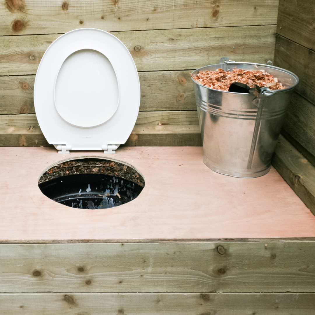 Источник фото: Canva