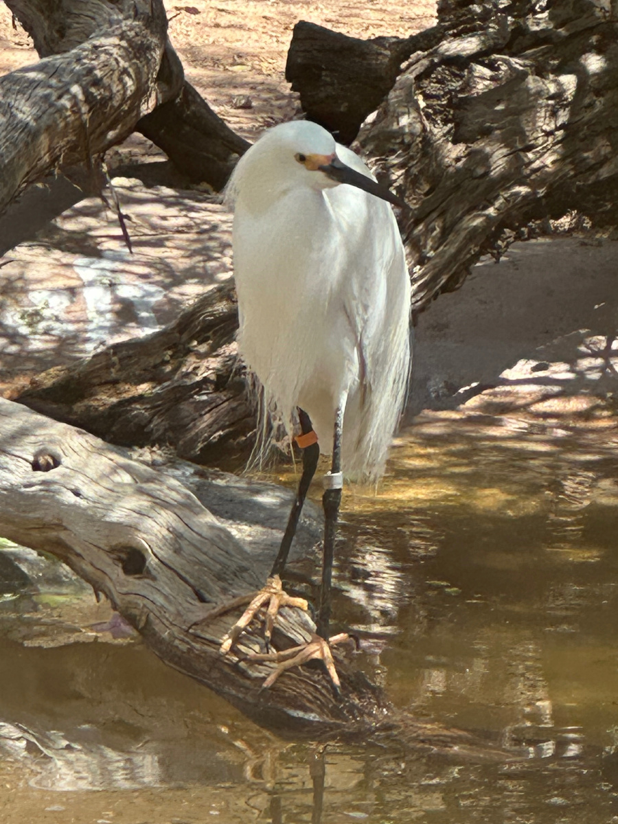 Позже добавлю названия