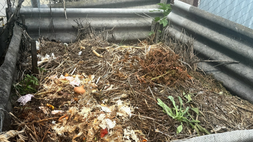    Фото из архива редакции