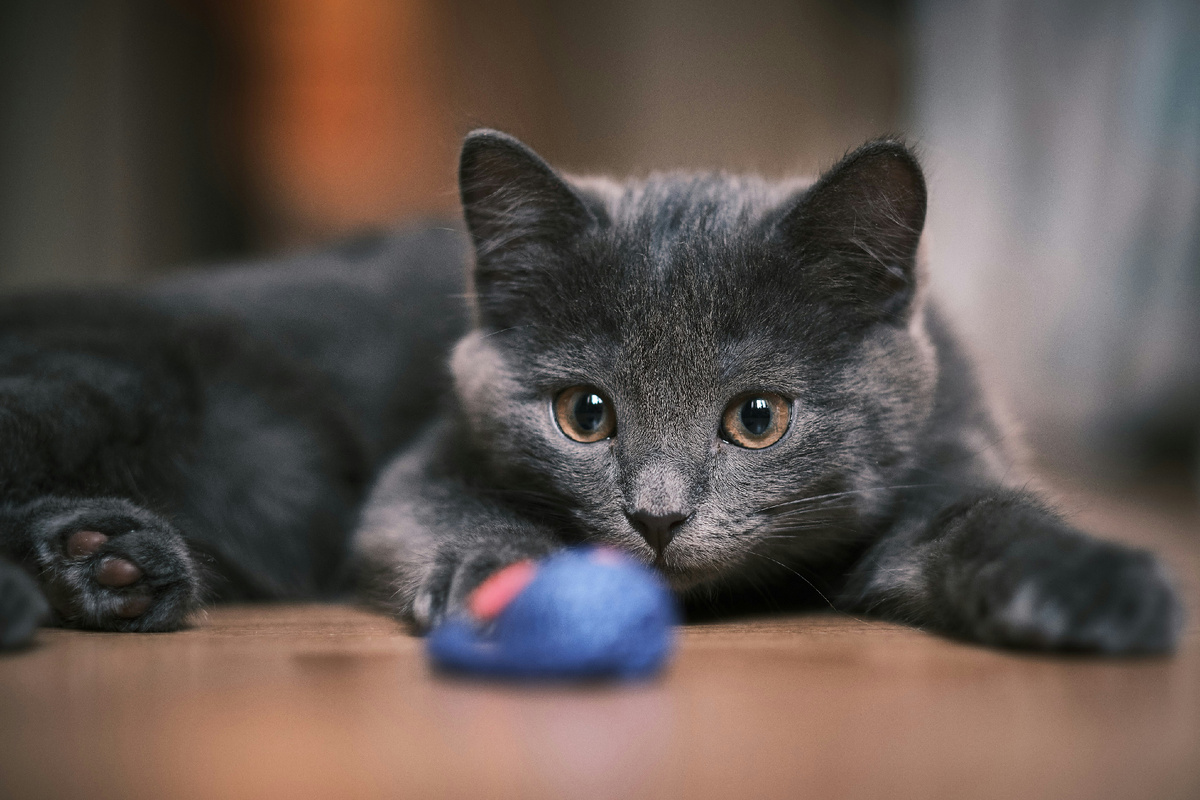 Автор фото Val Tievsky на Unsplash
