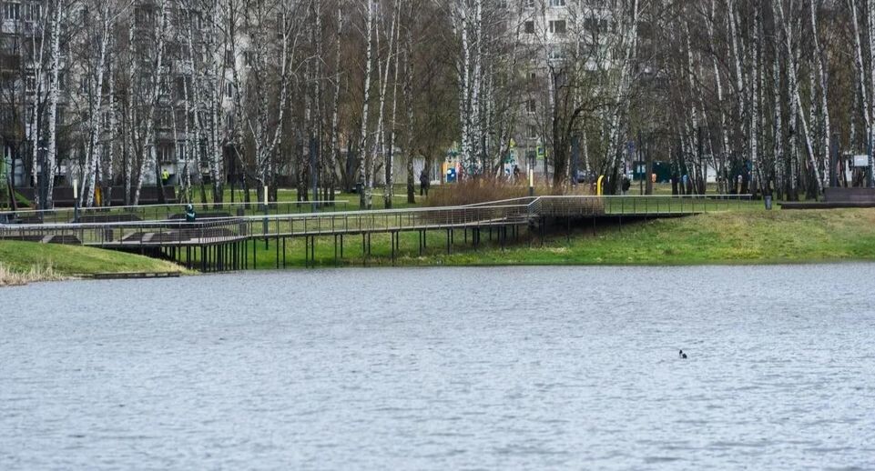    пресс-служба администрации г.о. Балашиха