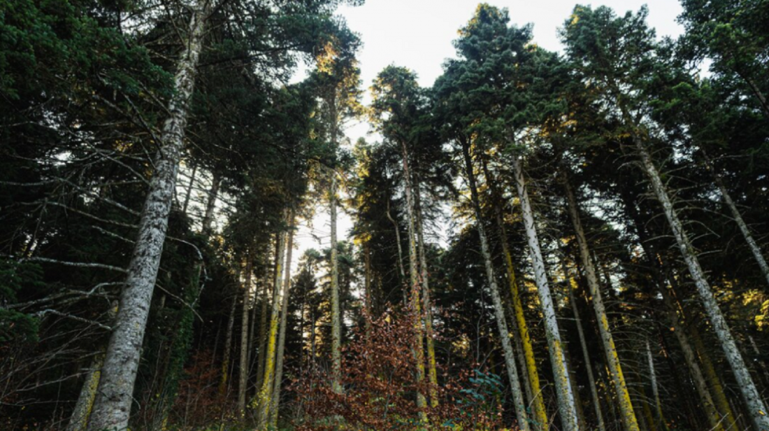 Источник: freepik.com