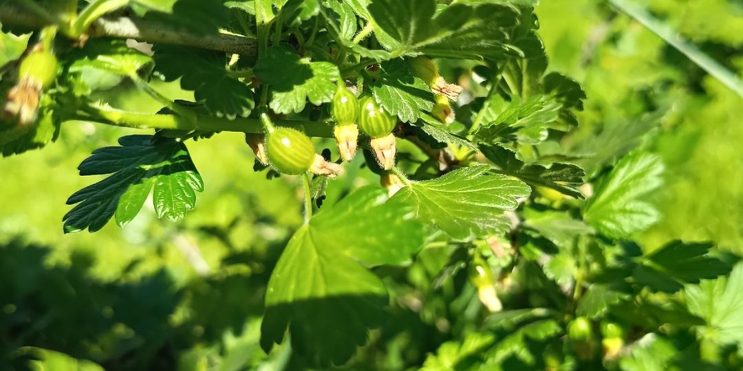 🌞 Доброе утро, среда! Время для новых открытий и маленьких побед!