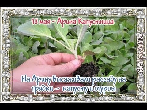 свобод.источник