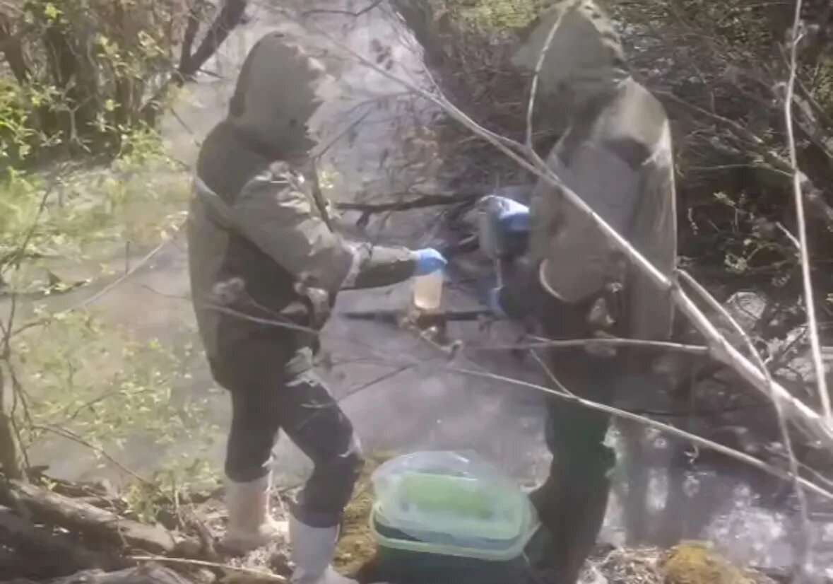    Фото: стоп-кадр видео Росприроднадзор по СЗФО