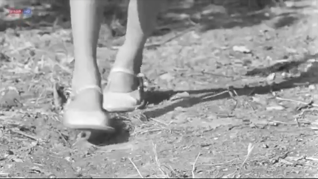 "Добро пожаловать, или Посторонним вход воспрещён"( реж.Э. Климов, муз. М. Таривердиев, И. Якушенко, 1964 год).