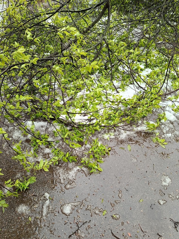 Фото автора.