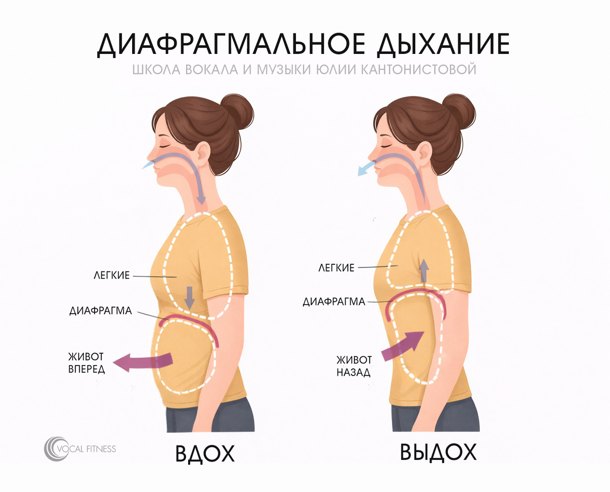 Полноценное диафрагмальное дыхание, необходимое для вокала