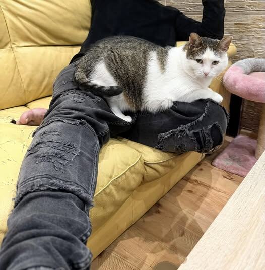 Человек в плену