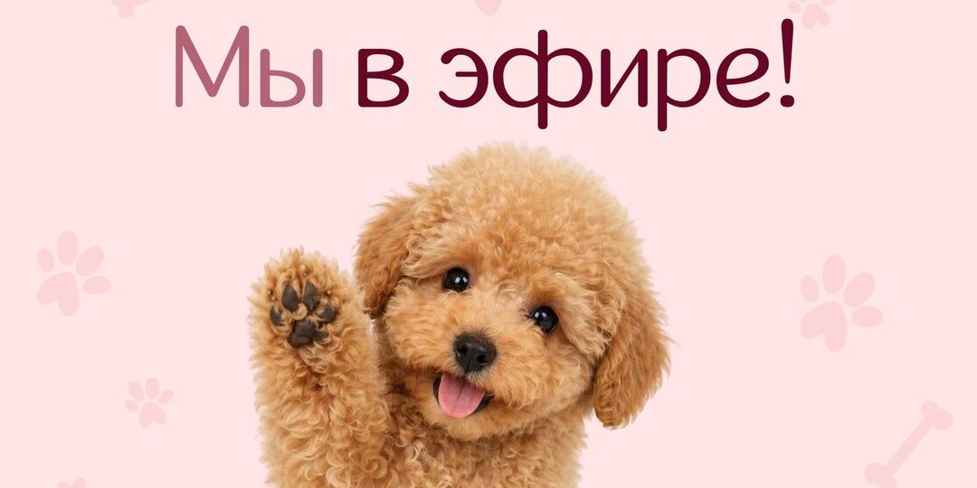 ❗️Эфир идёт