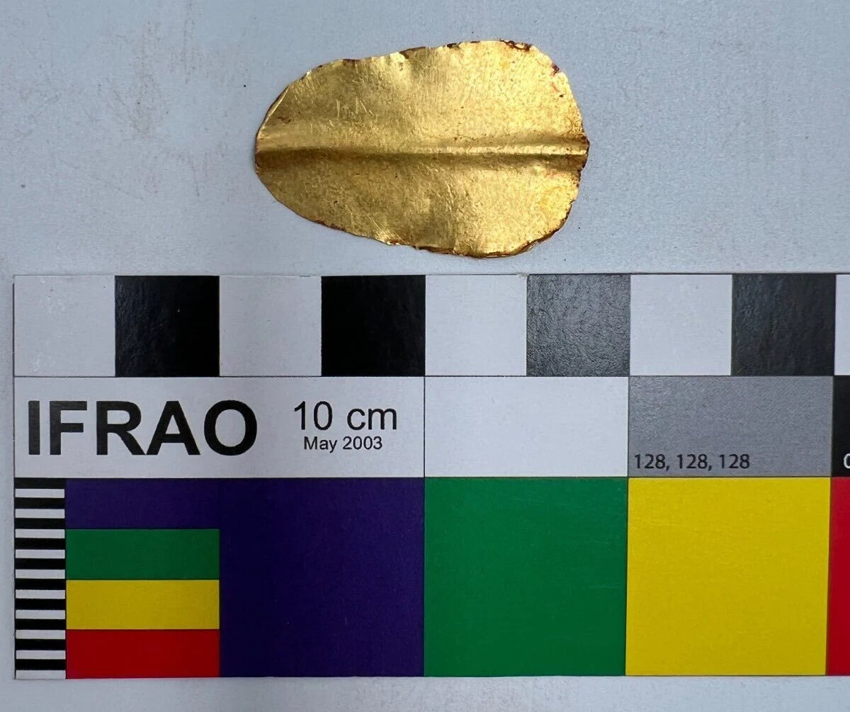    Золотой язык, который также был найден на месте раскопокEgypt Ministry of Tourism and Antiquities