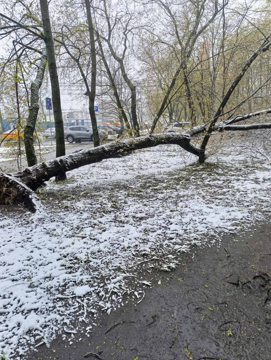 Весенняя Москва.